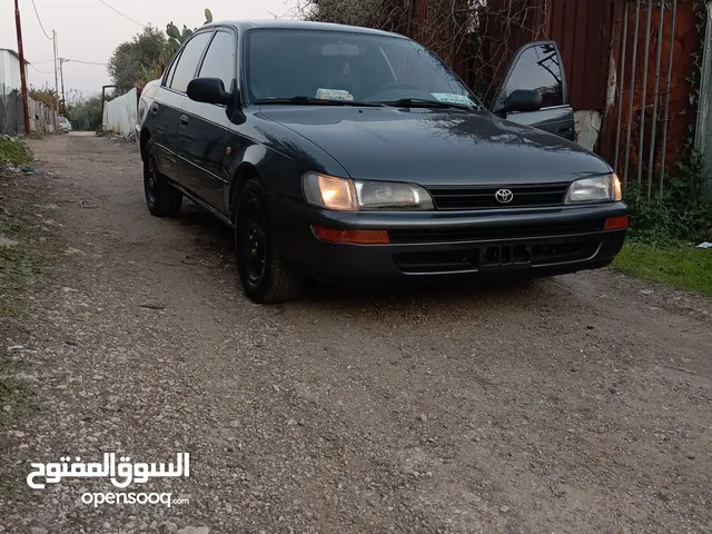 Used Toyota Corolla in Qalqilya