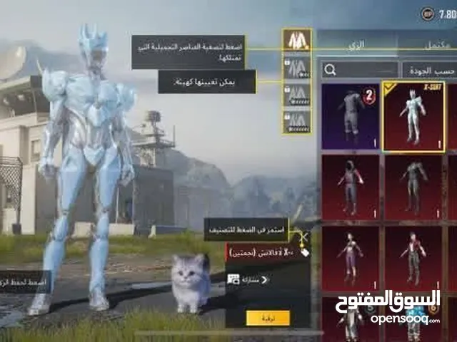 Pubg Accounts and Characters for Sale in Basra