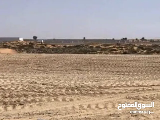 *Mفرصة استثمارية ادفع مقدم 20% وامتلك ارض بمنطقة الصجعة -بالشارقة 11.556قدم -تملك حر لجميع الجنسيات