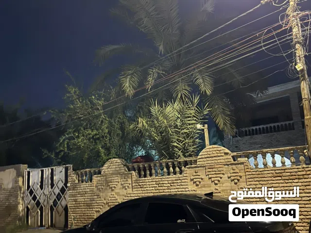 New Hyundai Elantra in Basra