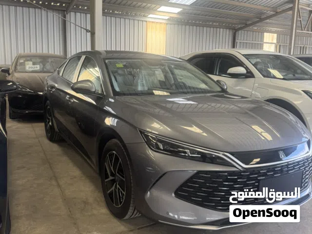 2024, بي واي دي, كين