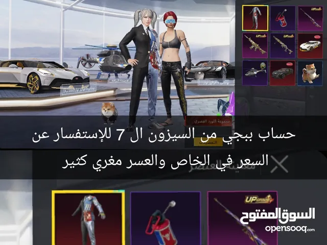 Pubg Accounts and Characters for Sale in Irbid