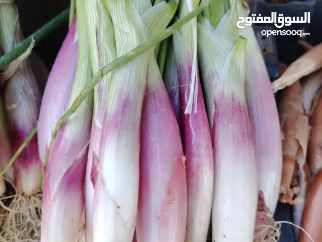 بصل حساوي بالربطة