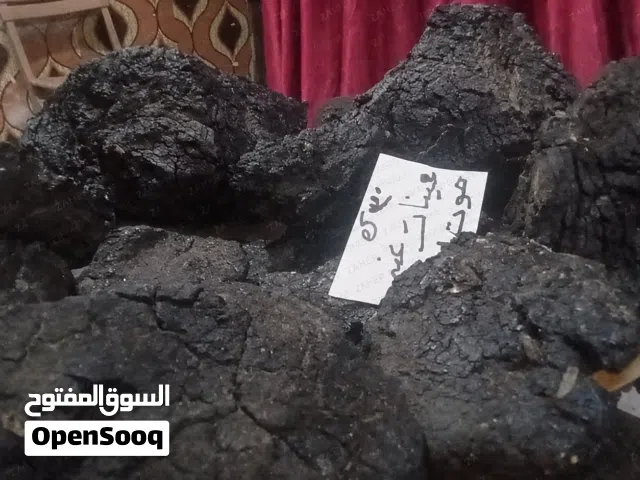 عنبر الحوت أصلي