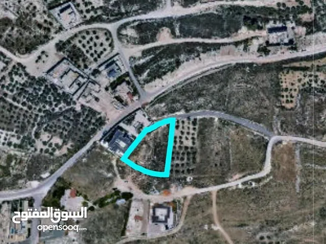 ارض 1700م2. بالعامريه. كوشان طابو بسعر مغري مطله وكاشفه