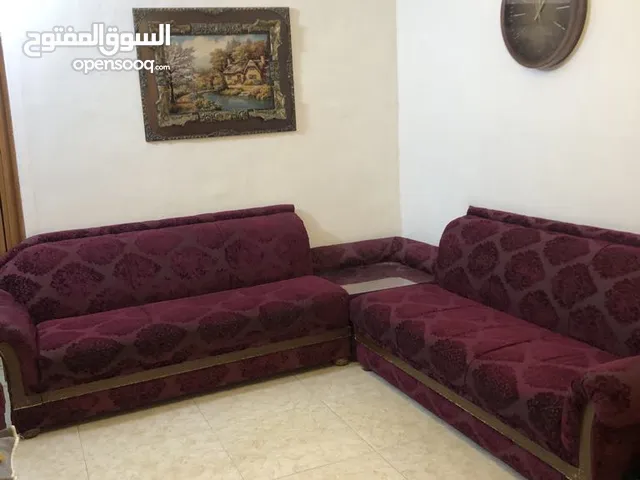 تخم قنفات للبيع
