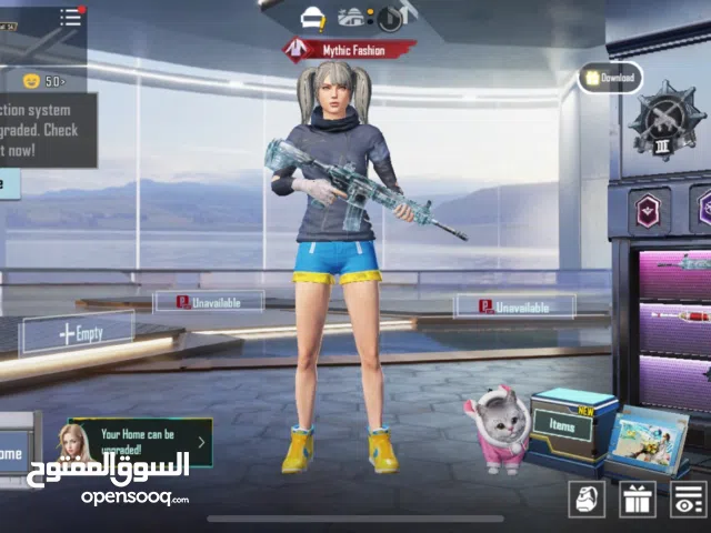 Pubg Accounts and Characters for Sale in Northern Governorate