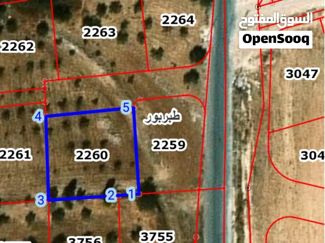 Mixed Use Land for Sale in Amman Tabarboor