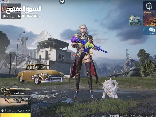 Pubg Accounts and Characters for Sale in Amman