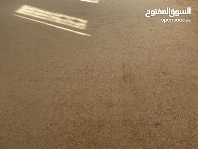 موكيت حجم كبير عدد 2
