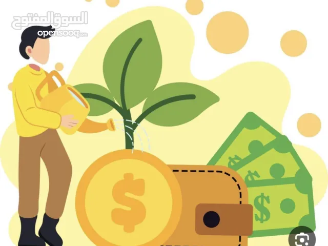 ارض استثمارية للييع