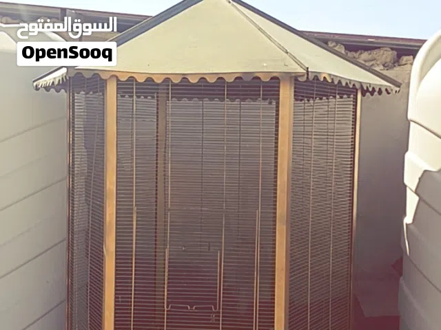مطير ايطالي نخب اول