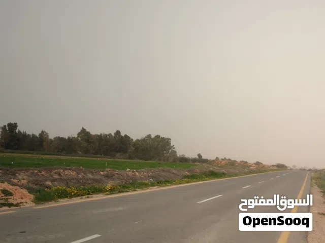 ارض في قطريانة تقاطع خط غاز يسار ع قطرانه طول اقرا وصف