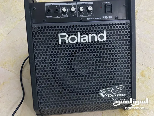Roland speaker