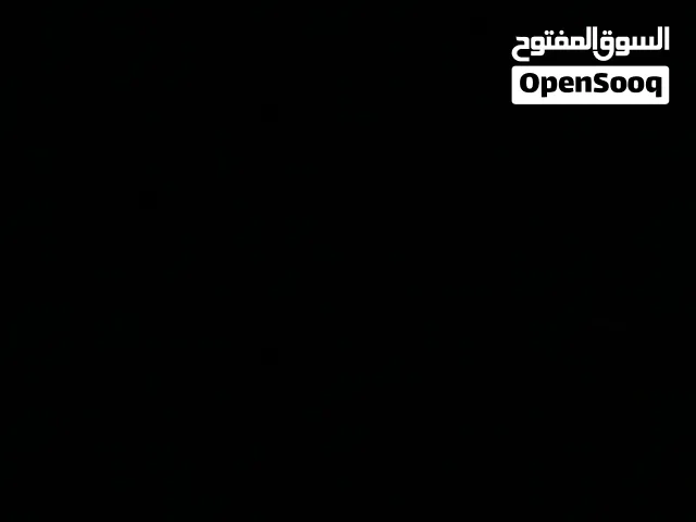 كلب تيرير للبيع
