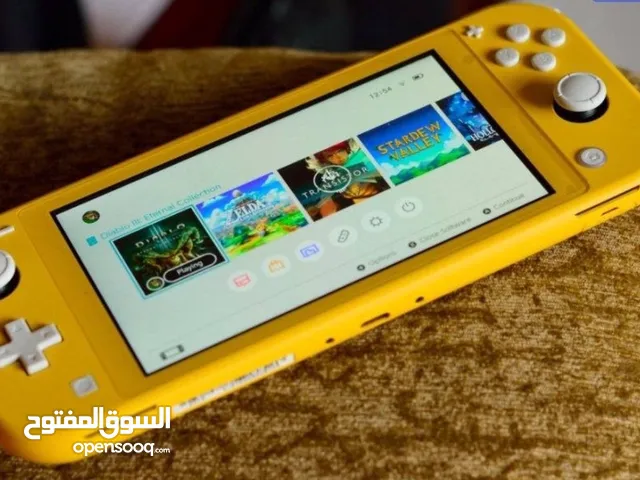 Nintendo switch lite