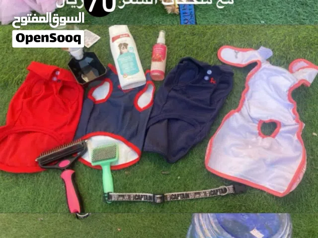كلاب شتزو سعر حلو مع كل ملاحقات