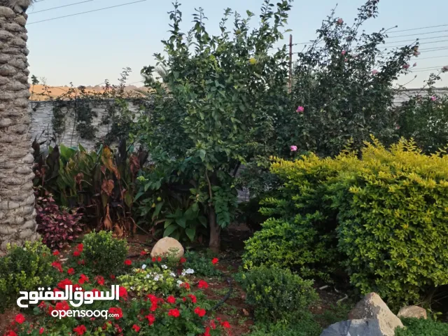 More than 6 bedrooms Farms for Sale in Jerash Tal Al-Rumman