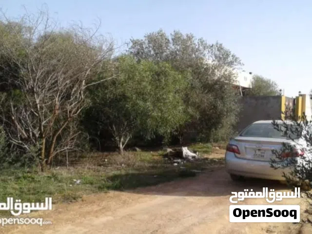 قطعة لها مدخلين عين زارة شارع الهبورغا الأستراحة الحمراء ولها مدخل من سريع وادي الربيع أقر الوصف