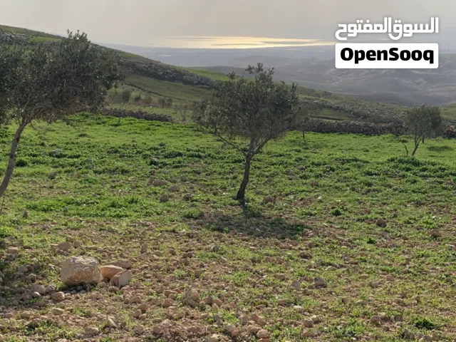 قطعة أرض 4 دونم و 254م للبيع - عراق الأمير من جهة بدر الجديده - مطله على البحر الميت و القدس الشريف