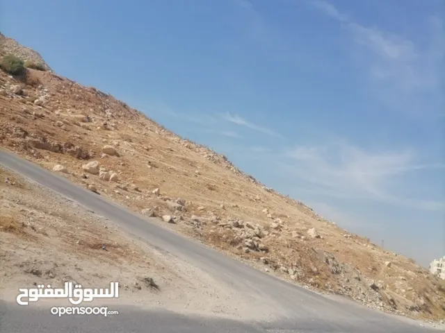 Mixed Use Land for Sale in Zarqa Jabal El Shamali  Rusaifeh