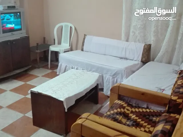 55 m2 1 Bedroom Apartments for Rent in Alexandria Agami