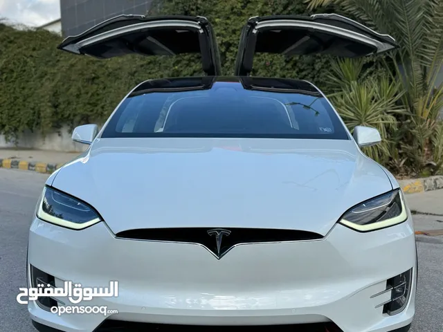 Tesla x 2023  D100