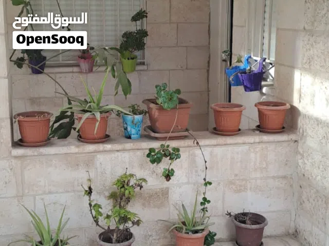 شقة للبيع قرب مجمع عمان الجديد