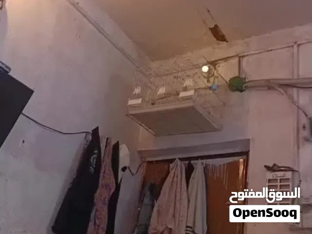 ذكر موزمبيقي مفول تغريد