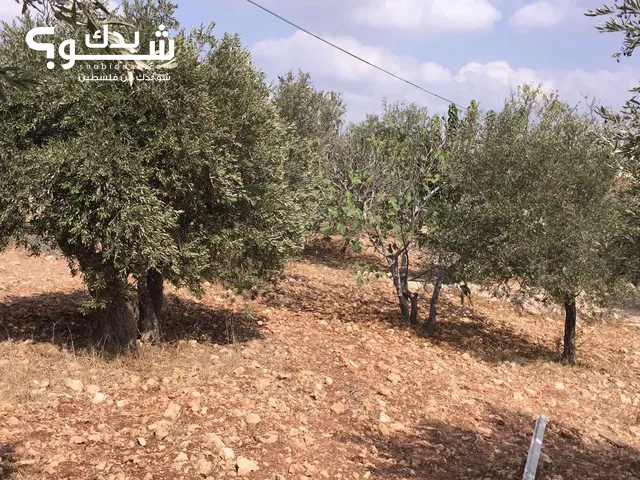 Mixed Use Land for Sale in Ramallah and Al-Bireh Bil'in