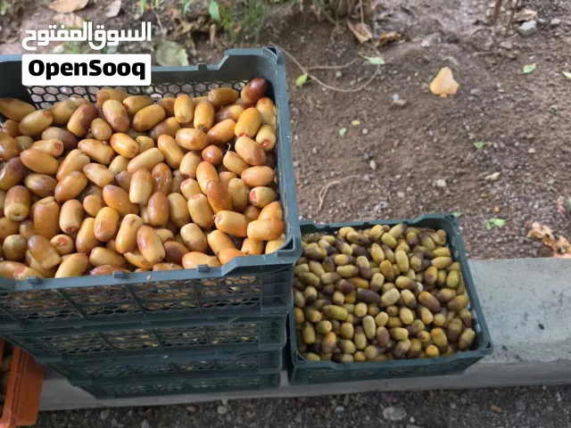 يوجد معنا أنواع الرطب