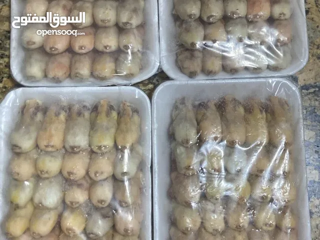 بيع عصافير تين