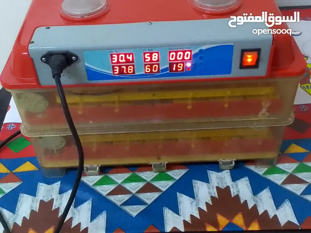 فقاسه للبيع