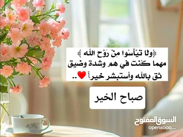 مطلوب شريك ممول