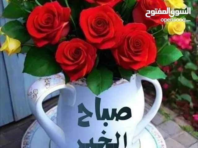 Hosam Shkuntana