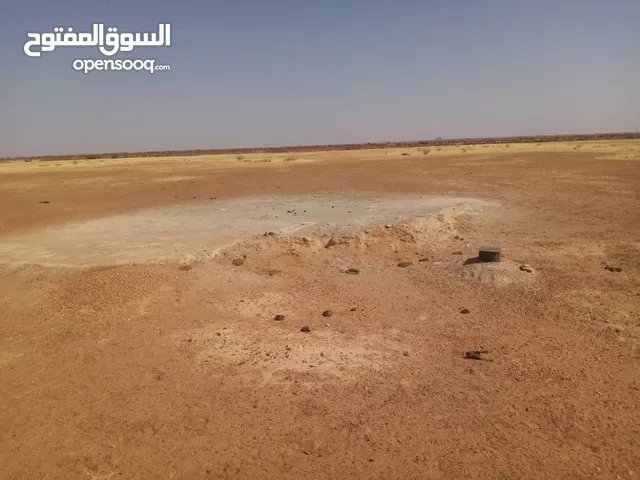 Farm Land for Sale in Khartoum Omdurman