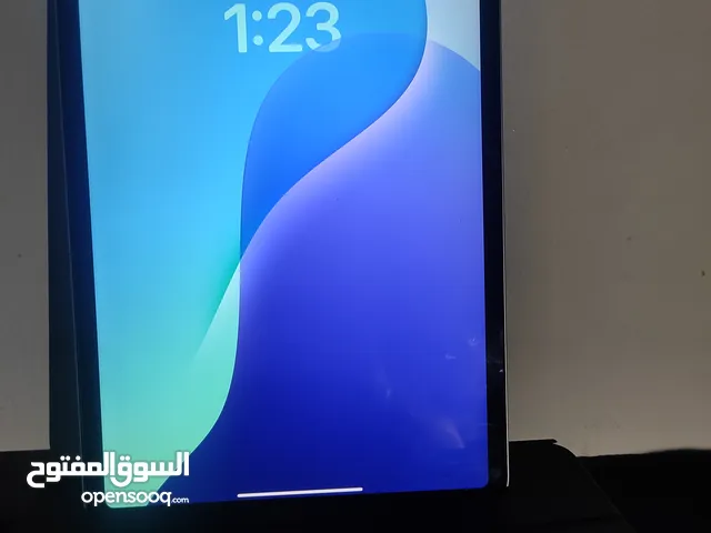 Apple iPad Pro 256 GB in Ajman