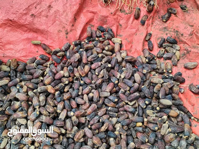 تمر نغال جداد مال السنه نظيف واموره طيبه جونيه بو دله متروسه