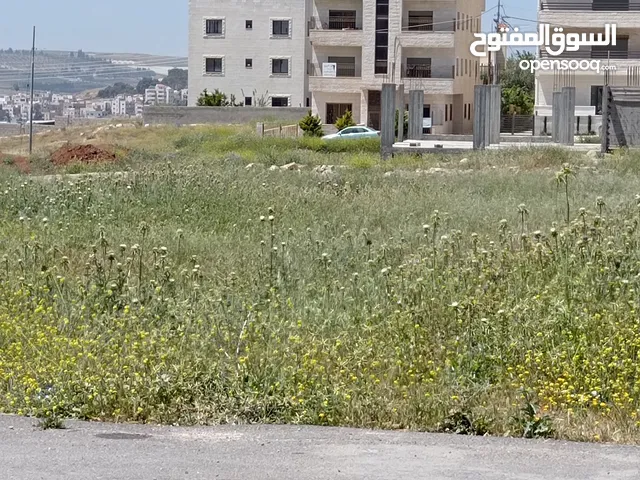 Residential Land for Sale in Amman Al Yadudah