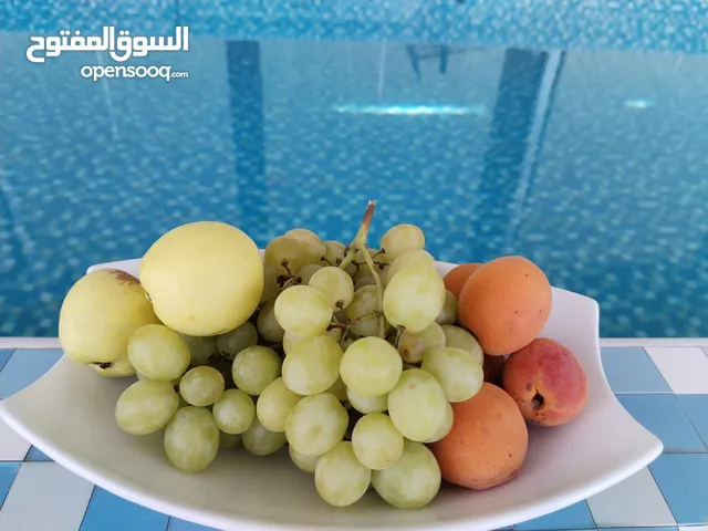 مزرعة للايجار اليومي في بغداد