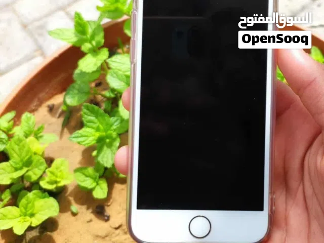 عرض اليوم بس - آيفون 7 العادي نظيف