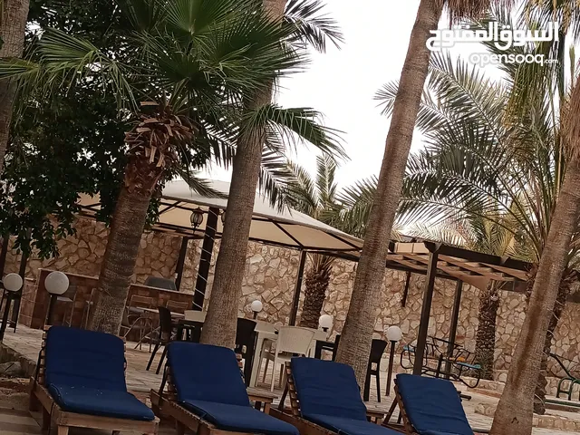 4 Bedrooms Chalet for Rent in Jordan Valley Dead Sea