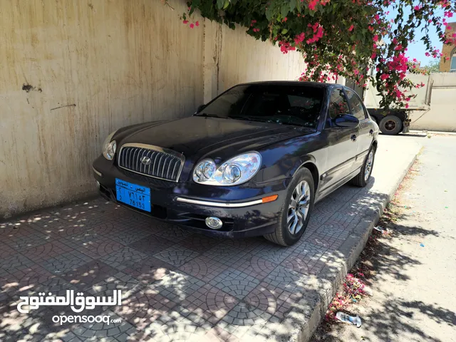 سنوتا 2004