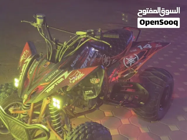 2008 Yamaha Raptor 700