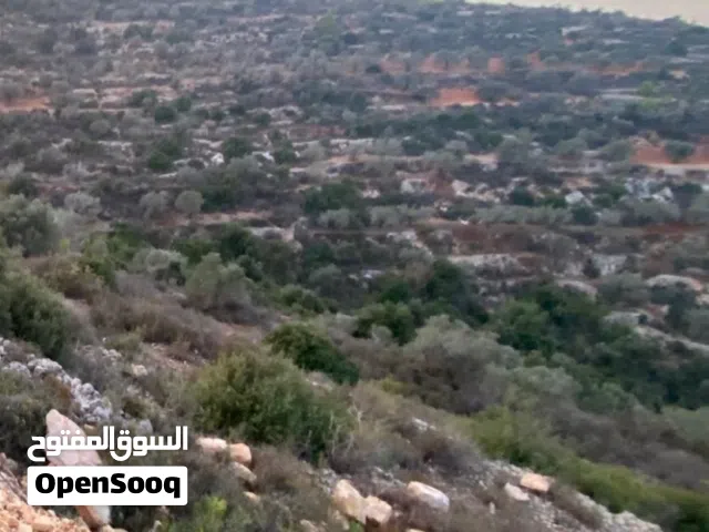 Farm Land for Sale in Ramallah and Al-Bireh Atara