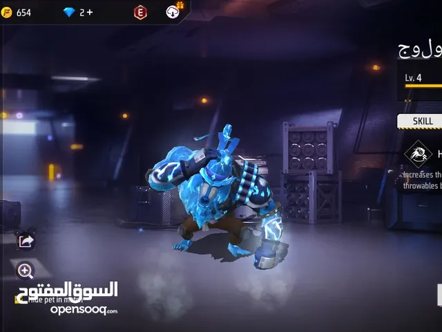 Free Fire Accounts and Characters for Sale in Cairo