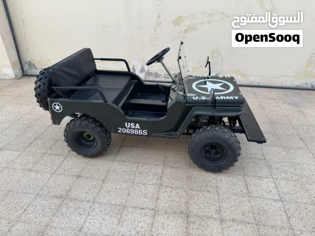 Mini jeep 150cc for sale