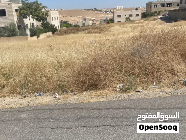 Residential Land for Sale in Amman Abu Alanda