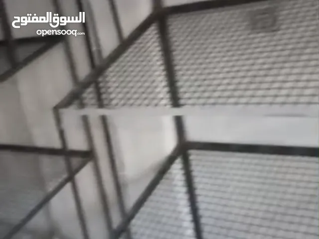 سندات خضار للبيع طولهن 14 متر اربع قطع سبب البيع السفر بسعر رمزي