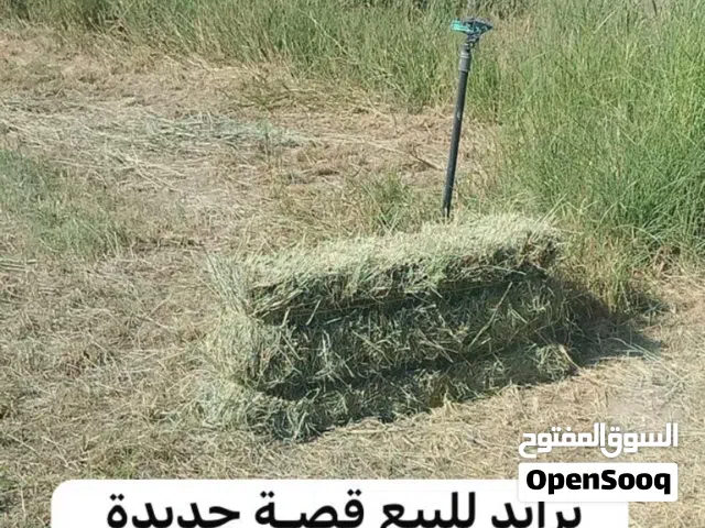 برايد للبيع يتوفر كميات كبيره